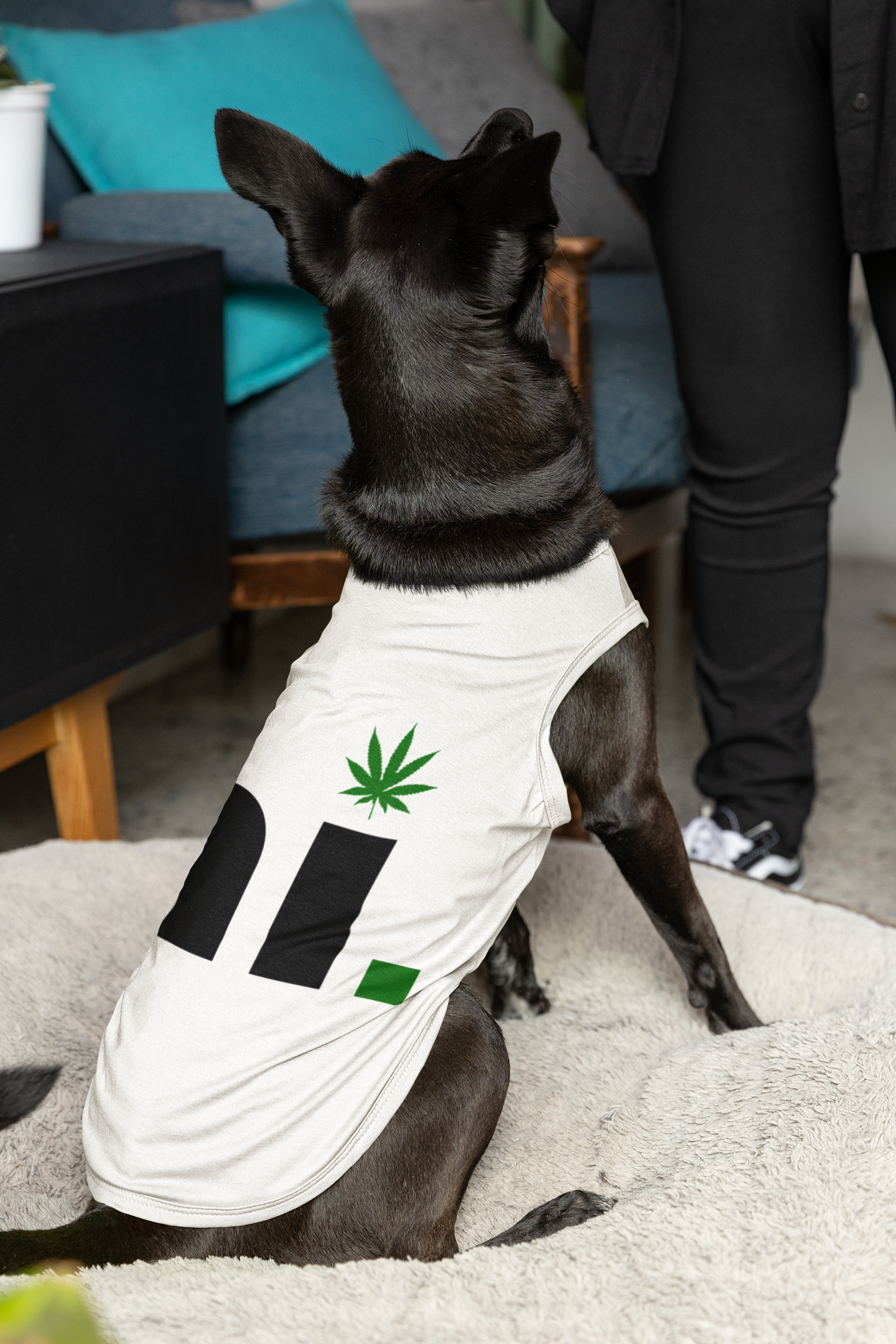 W&H Pet Tanks/Shirts