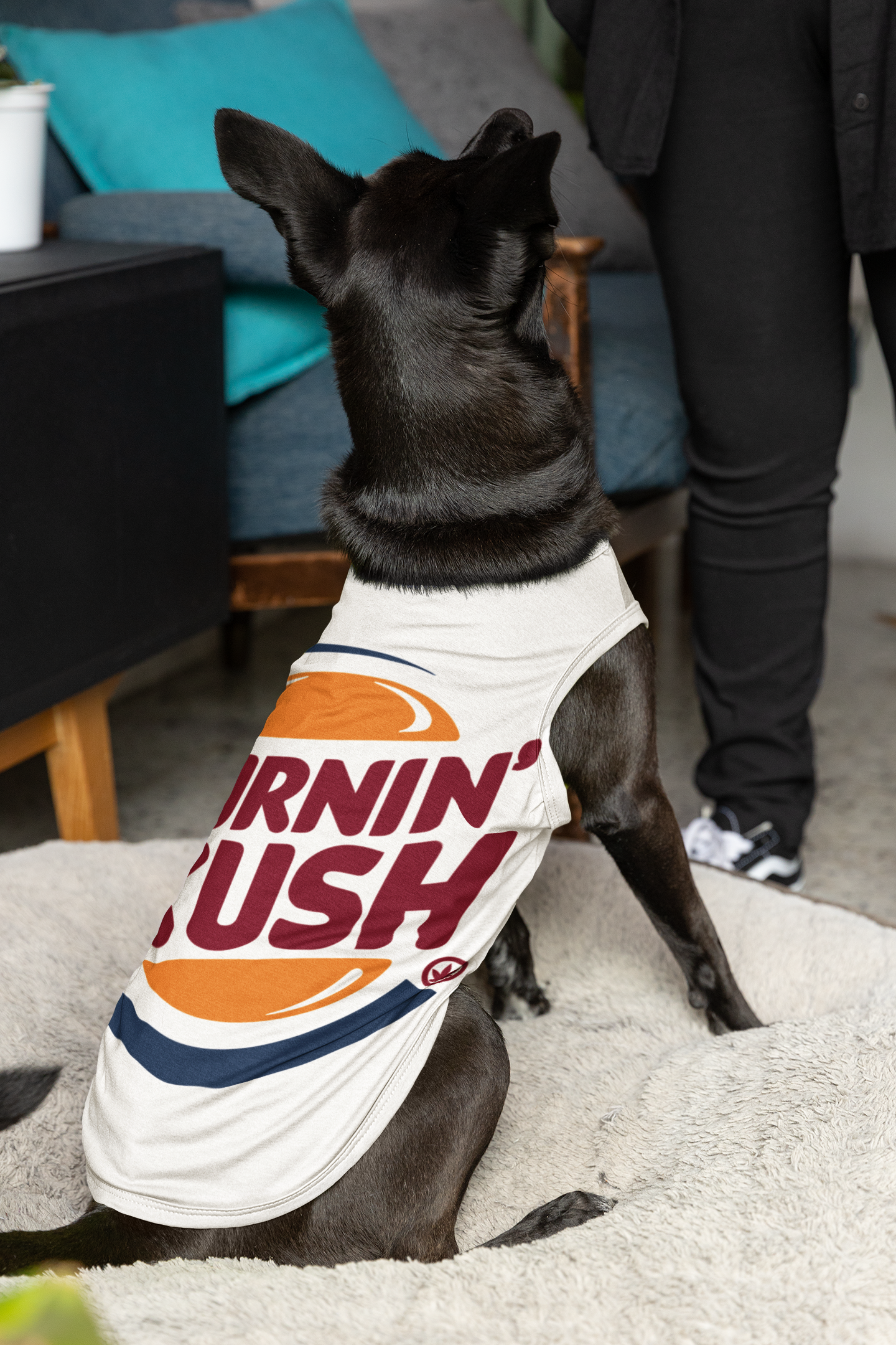 W&H Pet Tanks/Shirts